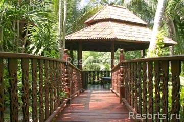 Coconut Grove 16